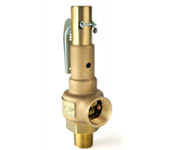 Boiler Relief Valves